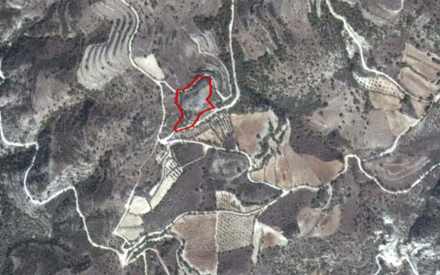 Trachypedoula, Paphos Agricultural Field For Sale | WW20988