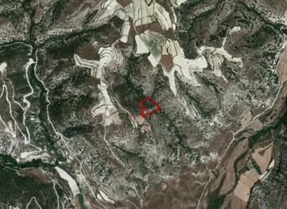 Letymvou, Paphos Agricultural Field For Sale | WW20998