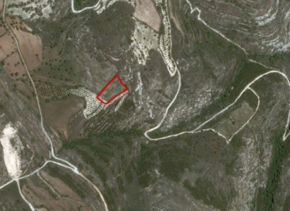Kritou Tera, Paphos Agricultural Field For Sale | WW21000