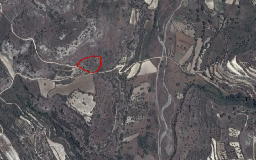 Choulou, Paphos Agricultural Field For Sale | WW21006