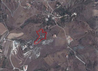 Choletria, Paphos Agricultural Field For Sale | WW21012