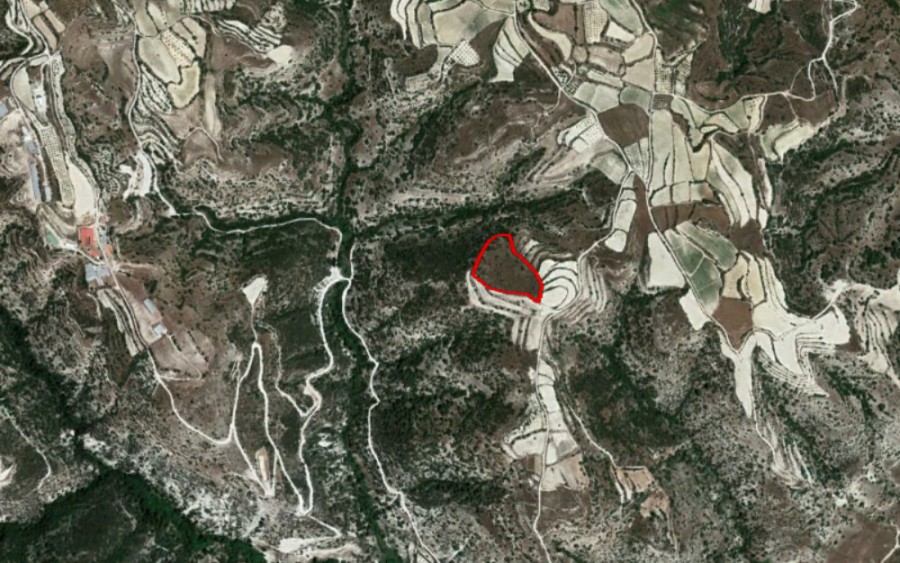 Letymvou, Paphos Agricultural Field For Sale | WW21040