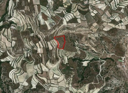 Letymvou, Paphos Agricultural Field For Sale | WW21055