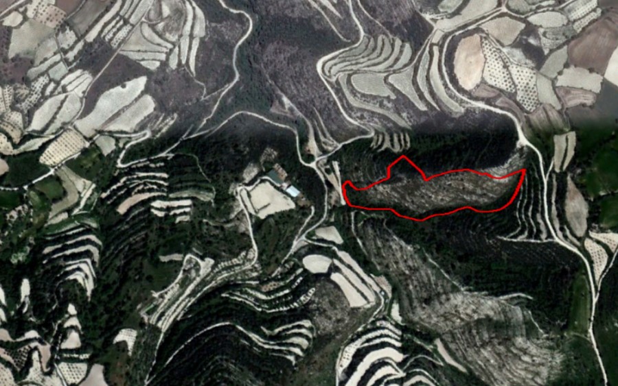 Koili, Paphos Agricultural Field For Sale | WW21056