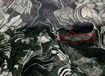 Koili, Paphos Agricultural Field For Sale | WW21056