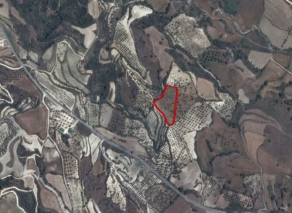 Simou, Paphos Residential Field For Sale | WW21084