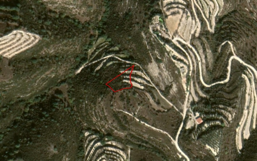 Koili, Paphos Agricultural Field For Sale | WW21757