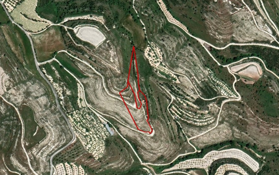 Tsada, Paphos Agricultural Field For Sale | WW21794