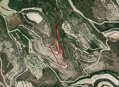 Tsada, Paphos Agricultural Field For Sale | WW21794