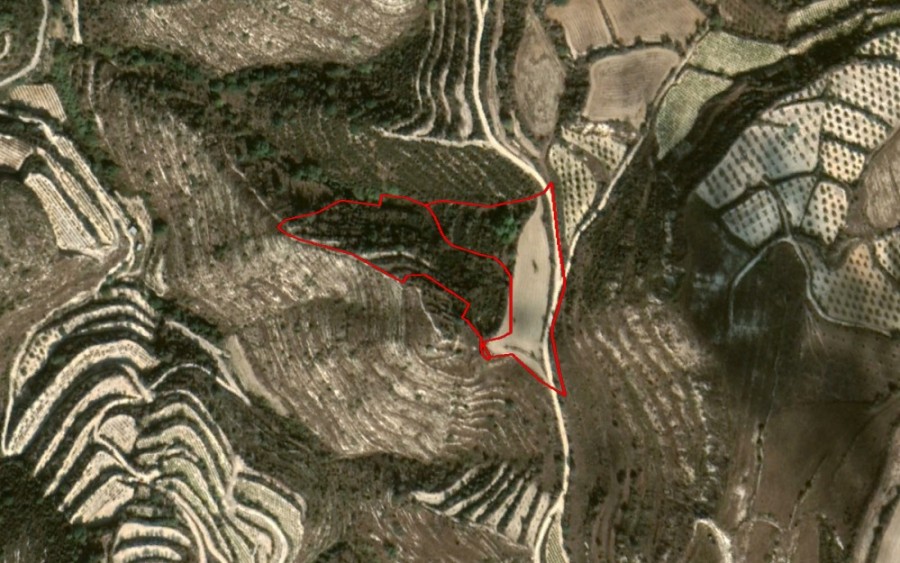 Koili, Paphos Agricultural Field For Sale | WW21799