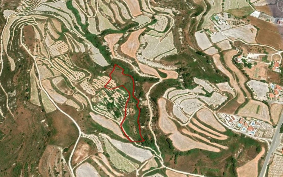 Tsada, Paphos Agricultural Field For Sale | WW21800