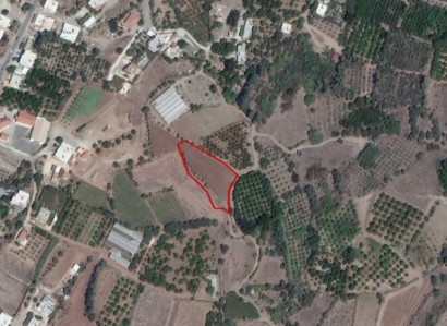 Agia Marina Chrysochous Residential Field | WW21868