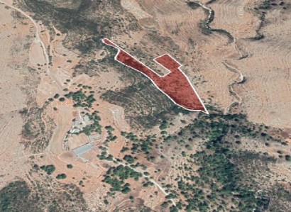 Lofou, Limassol Agricultural Field For Sale | WW22385