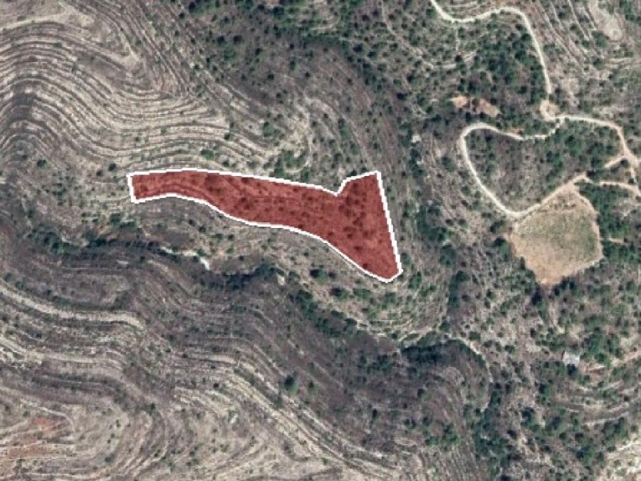 Lofou, Limassol Agricultural Field For Sale | WW22386