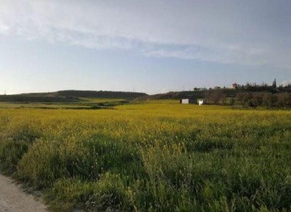 Geri, Nicosia Residential Field For Sale | WW22405