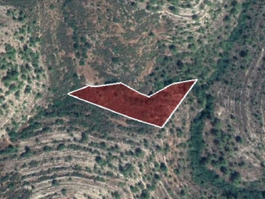 Field - Agios Therapon, Limassol