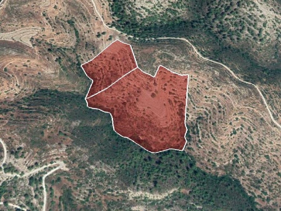 Field - Agios Therapon, Limassol