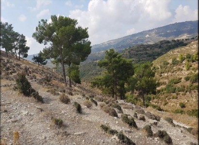 Ayios Therapon Agricultural Field For Sale | WW22427