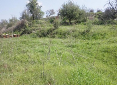 Ayios Amvrosios Residential Field For Sale | WW22520