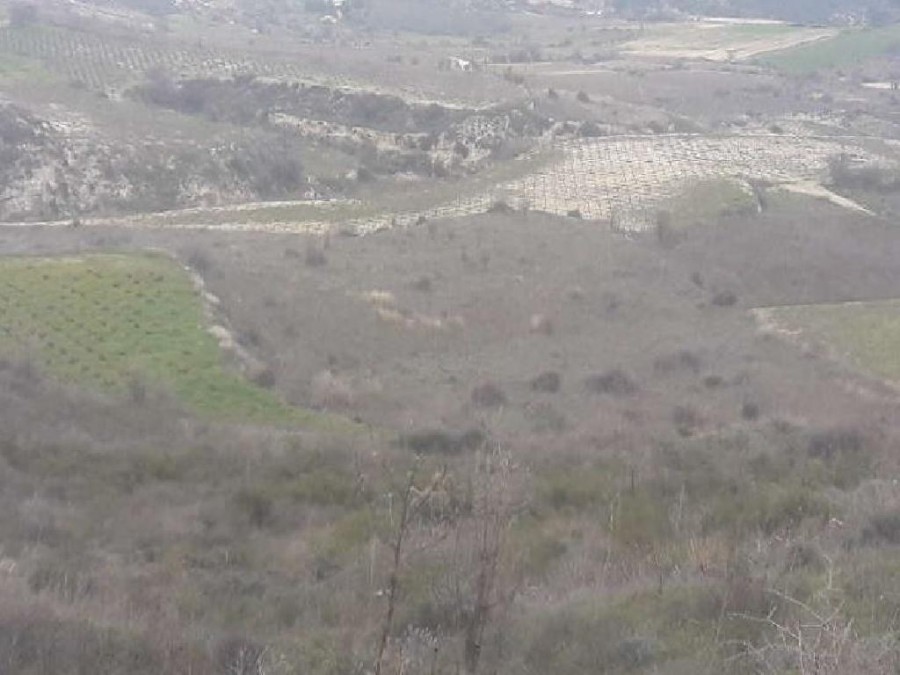 Koilani, Limassol Agricultural Field For Sale | WW22523