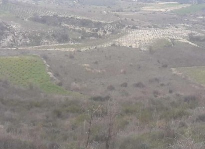 Koilani, Limassol Agricultural Field For Sale | WW22523