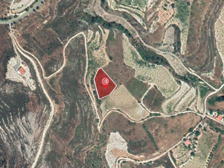 Field - Koilani, Limassol