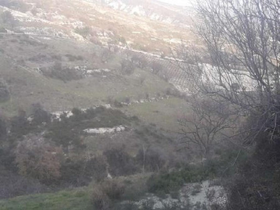 Field - Koilani, Limassol