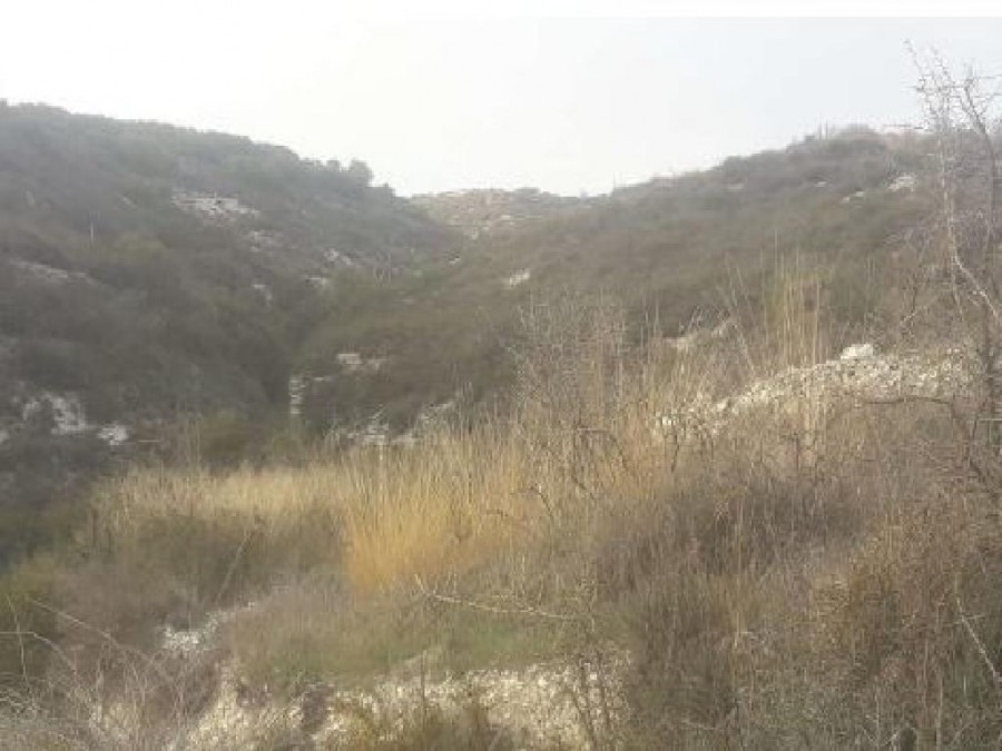 Field - Koilani, Limassol