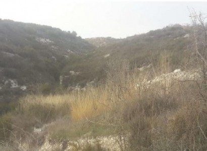 Koilani, Limassol Agricultural Field For Sale | WW22533