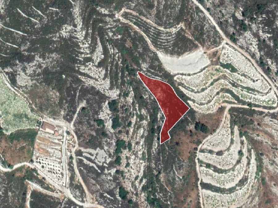 Field - Koilani, Limassol