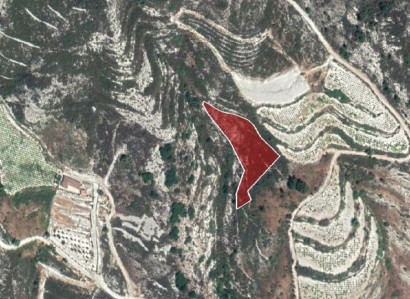 Koilani, Limassol Agricultural Field For Sale | WW22533
