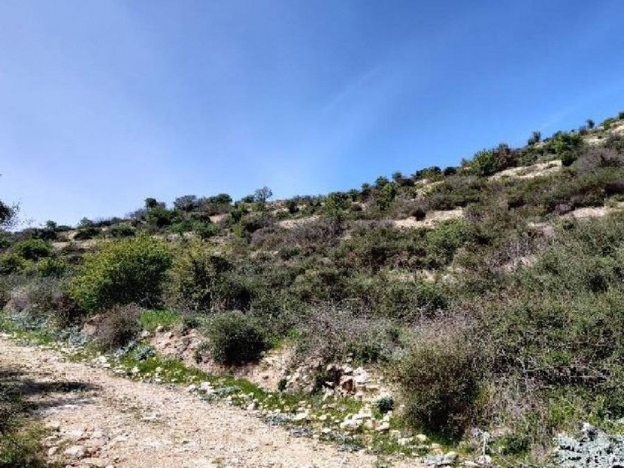 Field - Koilani, Limassol