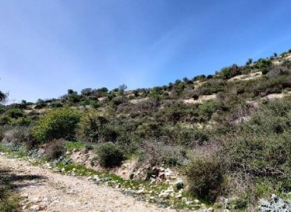 Koilani, Limassol Agricultural Field For Sale | WW22539
