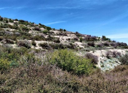 Koilani, Limassol Agricultural Field For Sale | WW22539