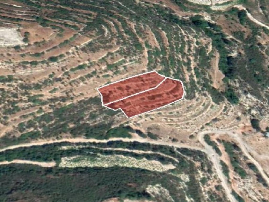 Field - Koilani, Limassol