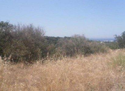Kissonerga, Paphos Residential Field For Sale | WW22864
