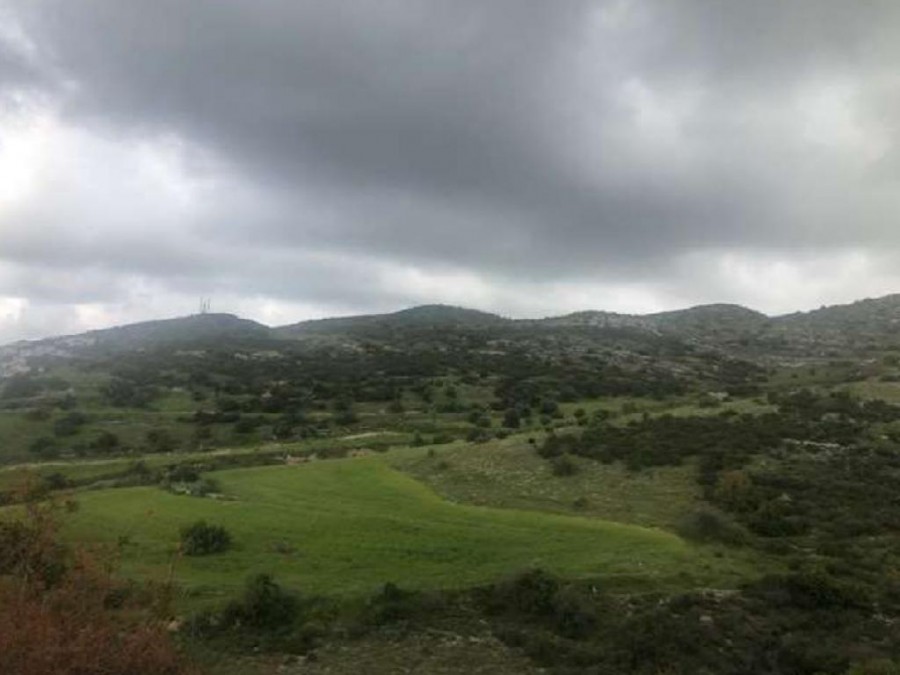 Field - Tsada, Paphos