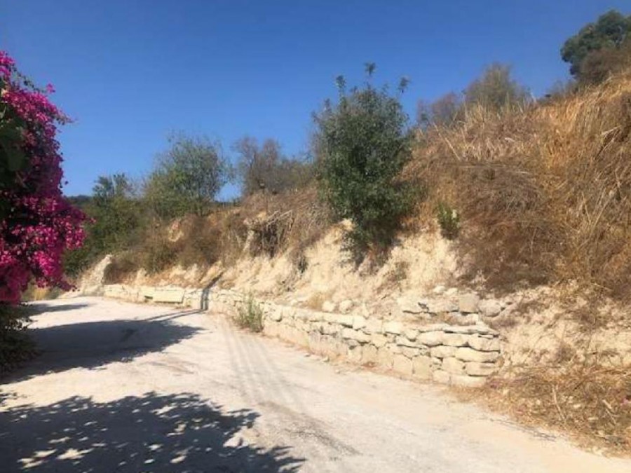 Field - Kallepia, Paphos