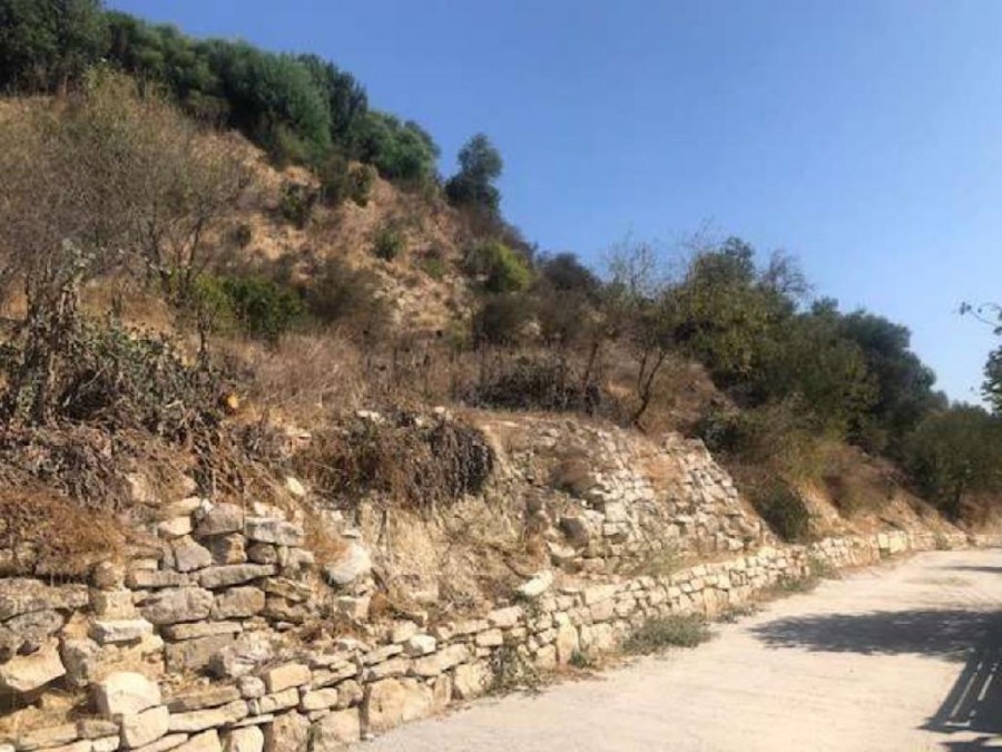 Field - Kallepia, Paphos