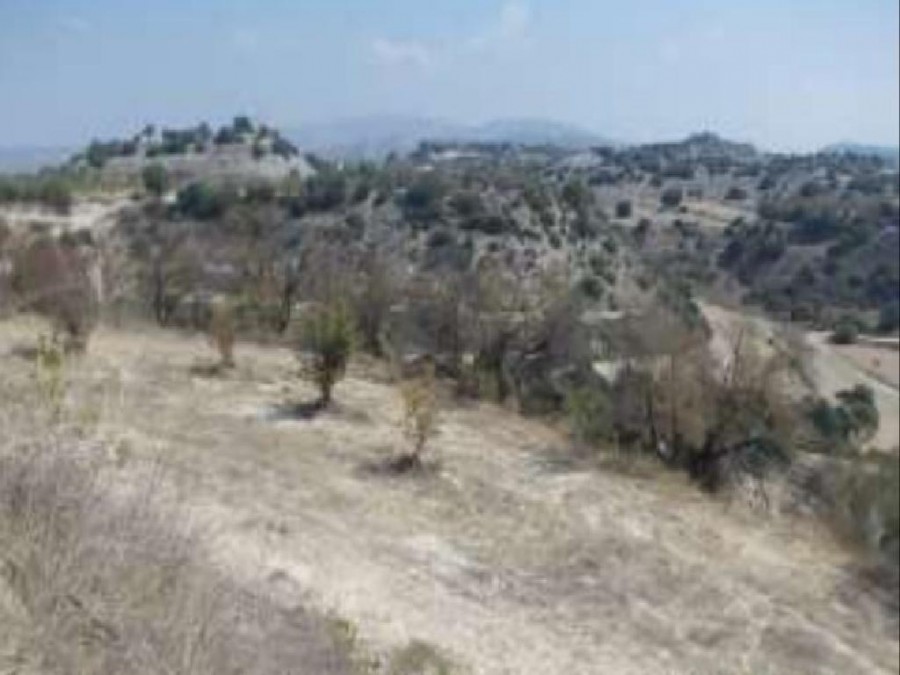 Field - Eledio, Paphos