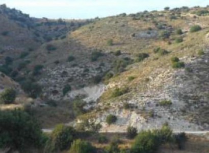 Nata, Paphos Agricultural Field For Sale | WW23120
