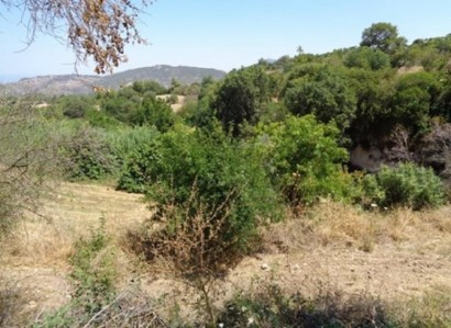 Lysos, Paphos Agricultural Field For Sale | WW23123