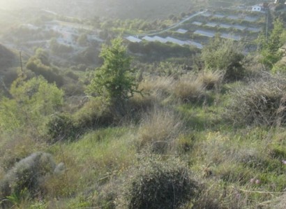 Pentalia, Paphos Residential Field For Sale | WW23132