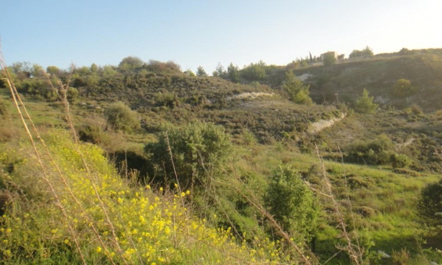 Field - Pentalia, Paphos