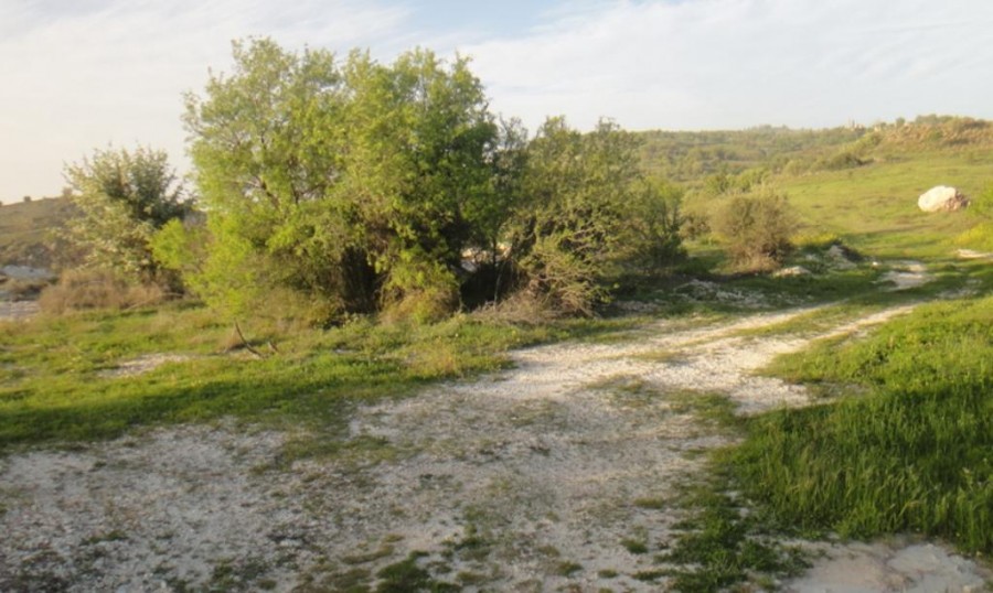 Field - Pentalia, Paphos