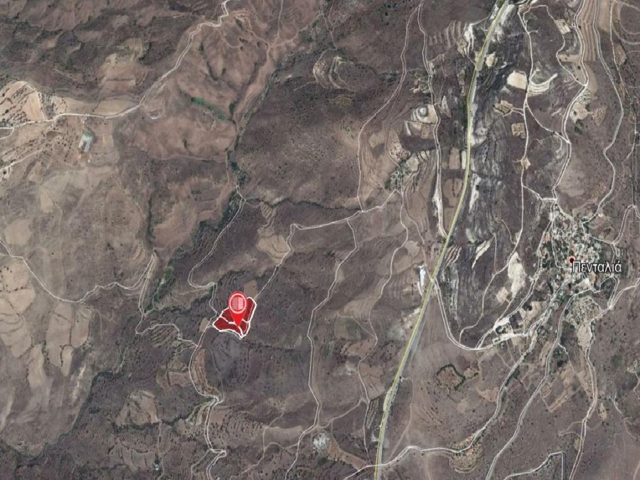 Pentalia, Paphos Agricultural Field For Sale | WW23133
