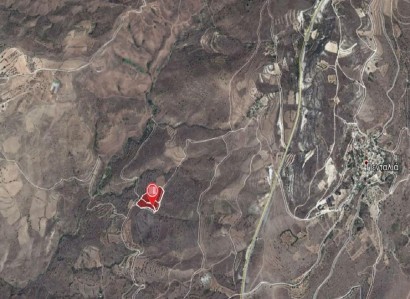 Pentalia, Paphos Agricultural Field For Sale | WW23133