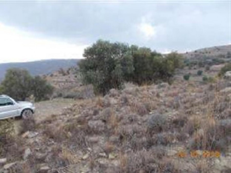 3 Adjacent Fields - Pendalia, Paphos