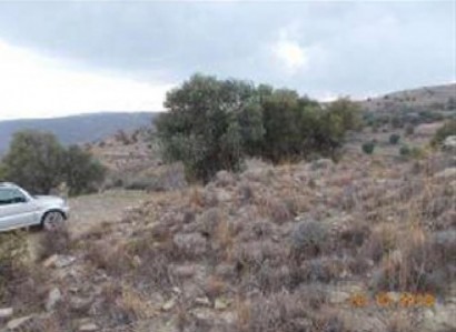 Pentalia, Paphos Agricultural Field For Sale | WW23133