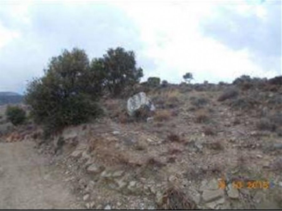 3 Adjacent Fields - Pendalia, Paphos